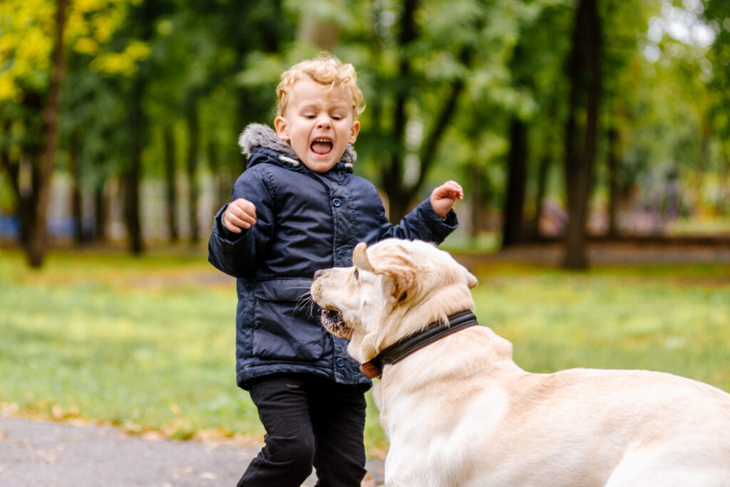 15 Critical Steps to Take When Socializing Your Dog with New People