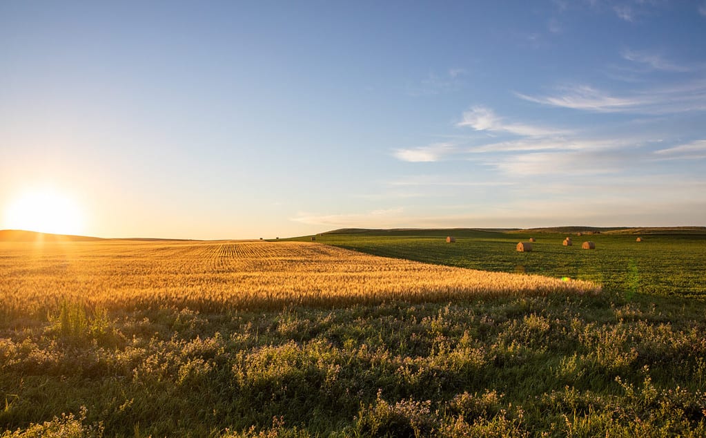 The 21 Most Fun and Interesting North Dakota Facts You Didn't Know