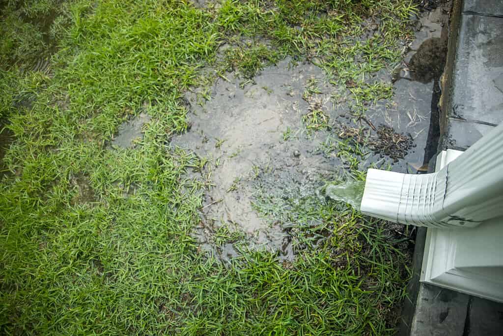 What pH is Rainwater And Should You Drink It?