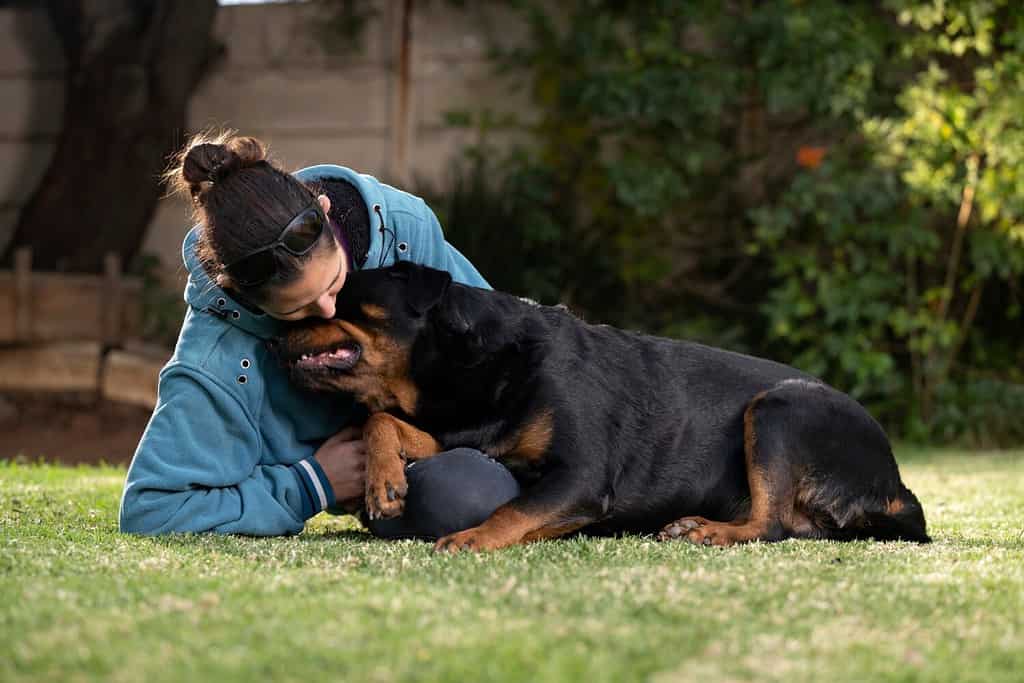 How to Train Your Rottweiler: The 4 Best Methods and Tips