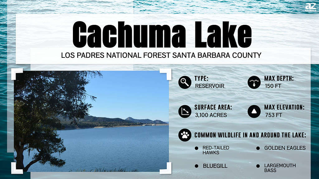 How Deep Is California's Cachuma Lake?