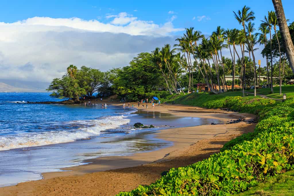 Americans Are Flocking to These 3 Fastest-Growing Counties in Hawaii