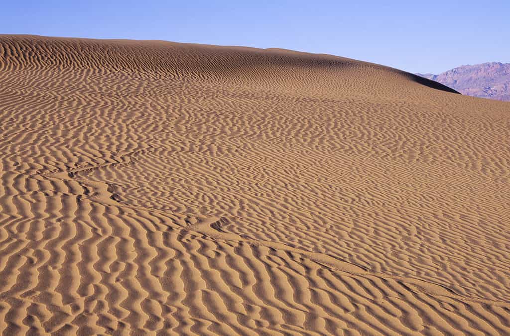 8 Incredible Sand Dunes in California Everyone Should See At Least Once