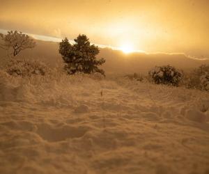 The Biggest October Snowstorm in Indiana History Will Blow Your Mind