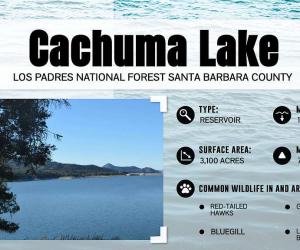 How Deep Is California's Cachuma Lake?