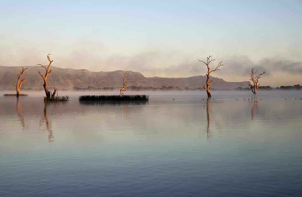 The 5 Longest Rivers in Victoria