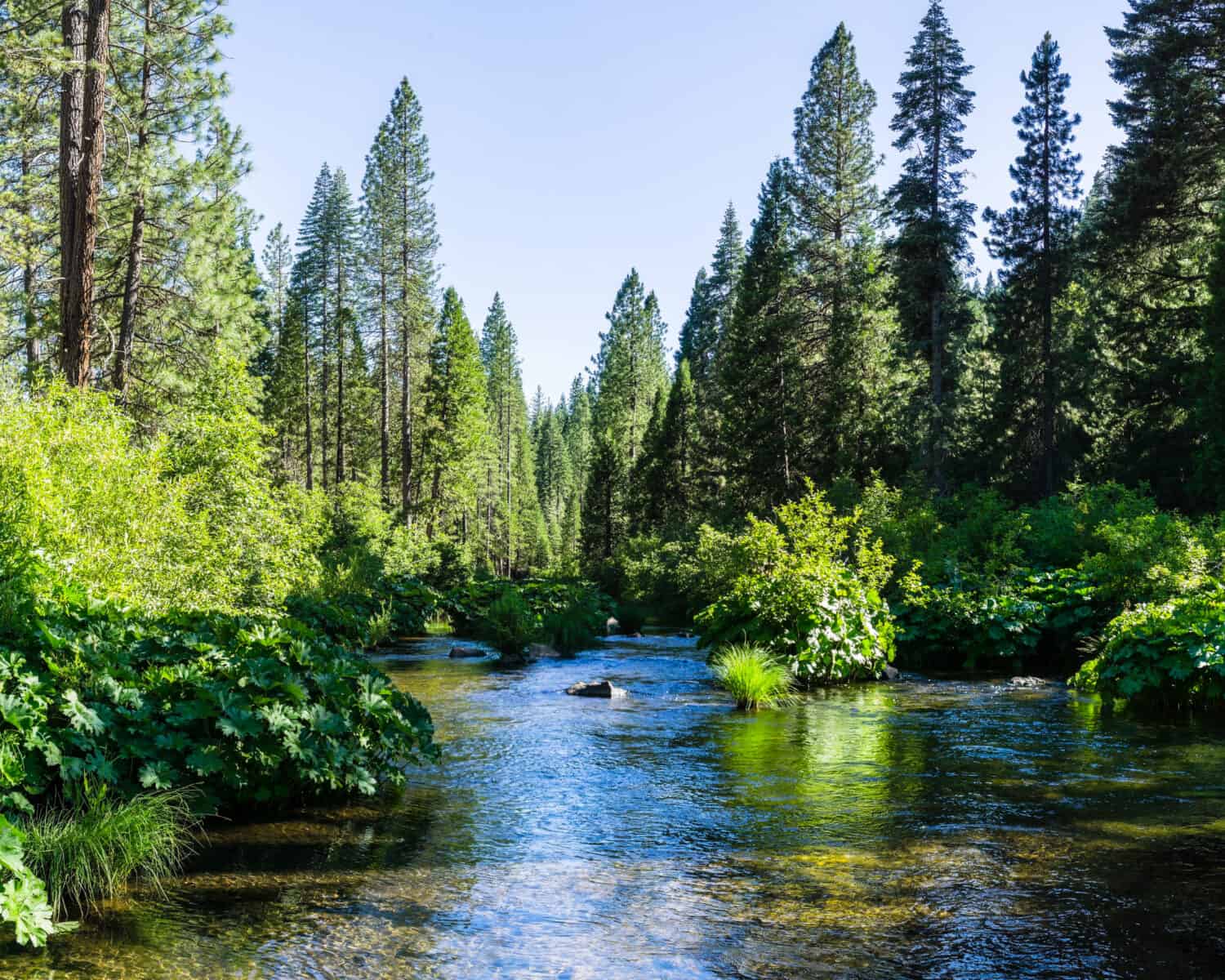 The 11 Most Scenic Hiking Trails in All of California