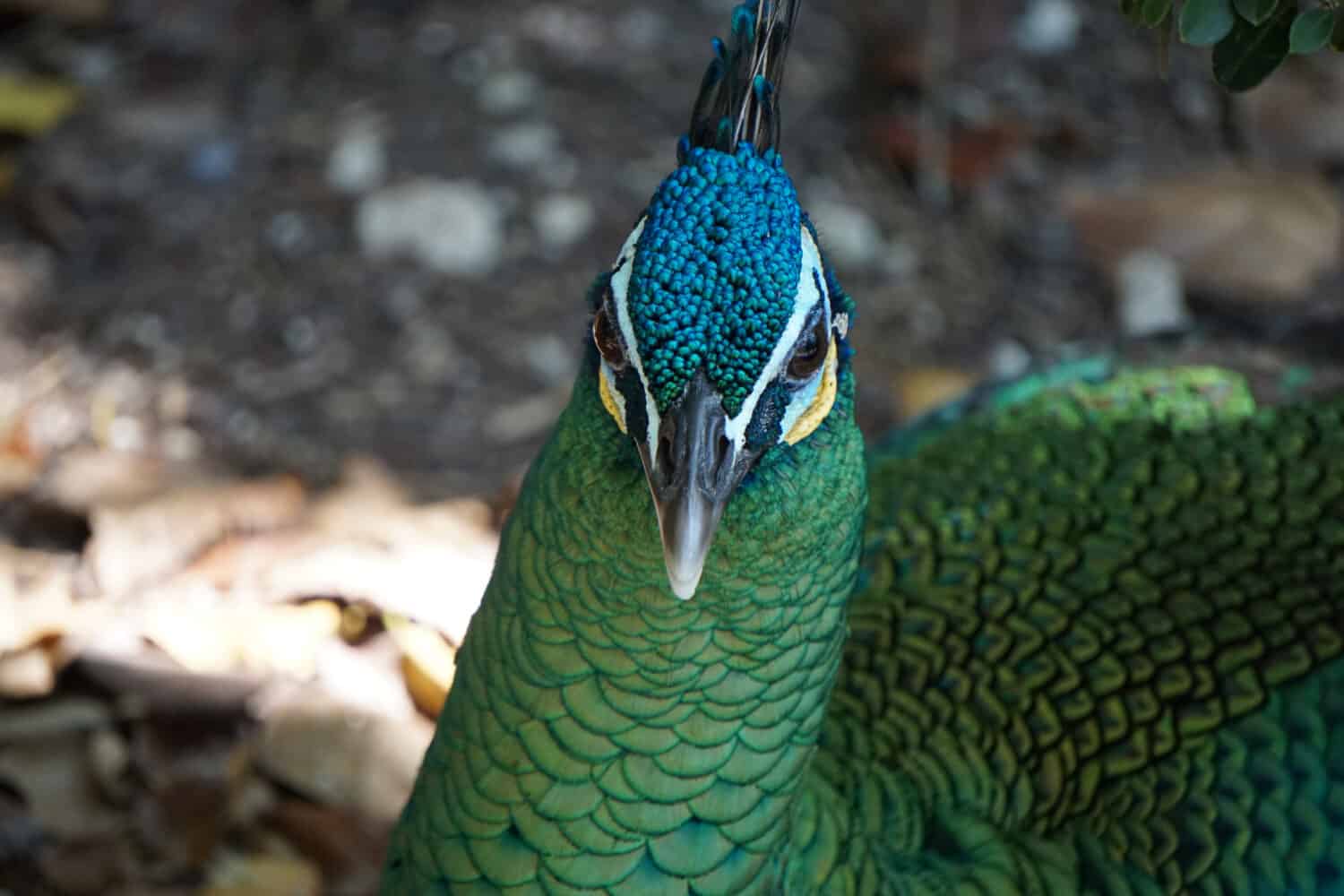 Discover the 7 Largest Zoos in England (And the Ideal Time to Visit Each)