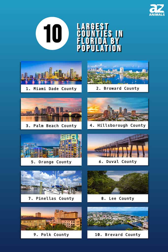 Discover What Is Driving Florida’s Huge Population Growth