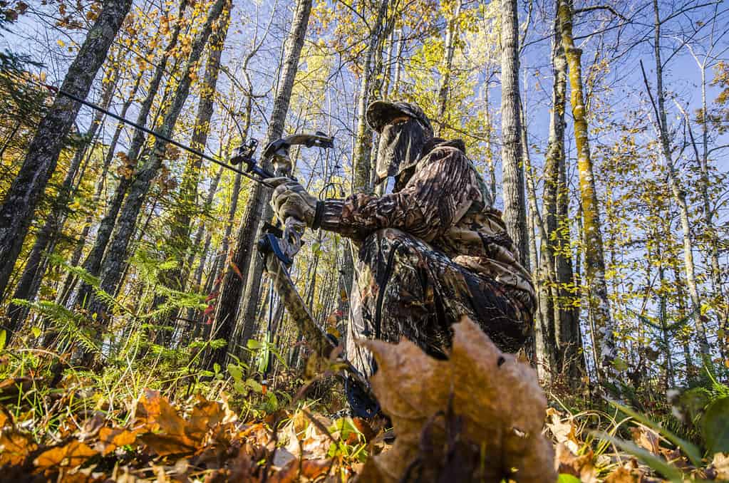 10 Reasons South Dakota Has the Best Deer Hunting in the U.S.