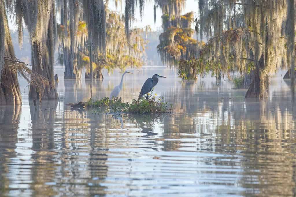 The Cheapest Lakes in Louisiana to Buy a Second Home