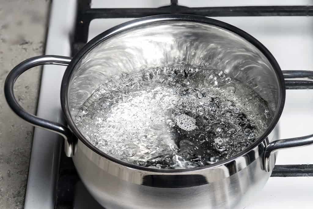 Just How Hot is Boiling Water and What Is the Max Temperature It Can Reach?