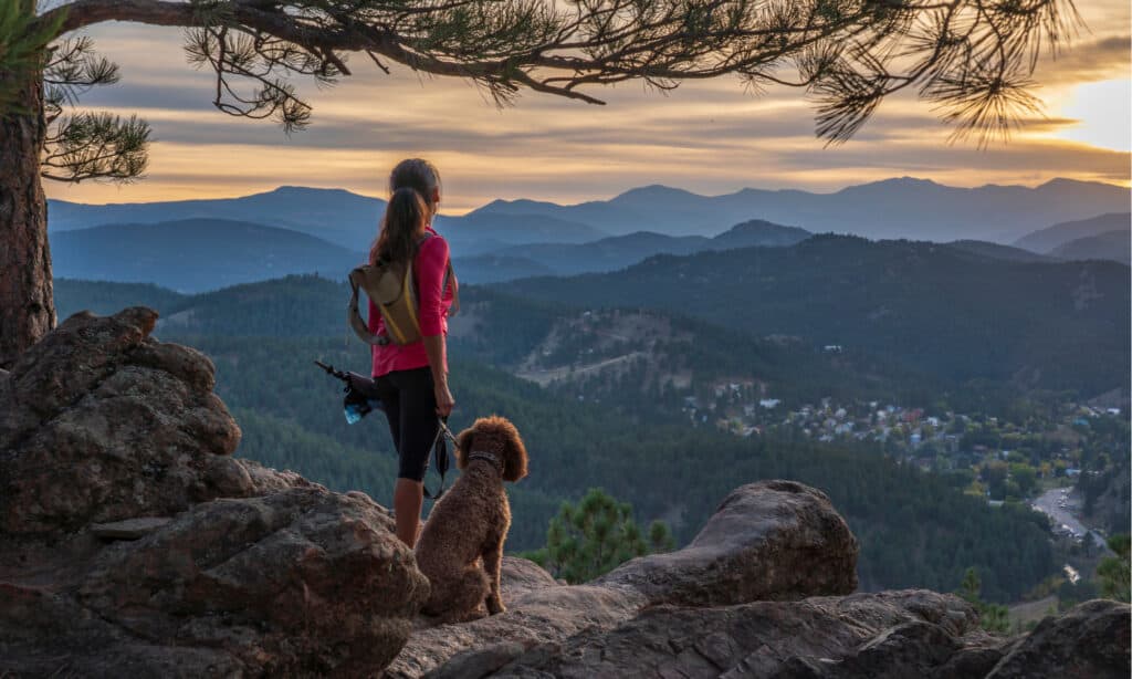 The Largest City in Colorado Now and in 2050