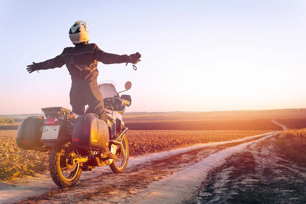 Venomous Viper Bites Motorcycle Rider After Hitching Ride in Europe