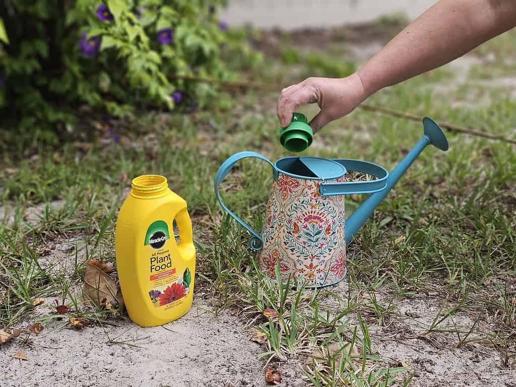 10 Reasons to Avoid Putting Miracle-Gro Plant Food In Your Garden