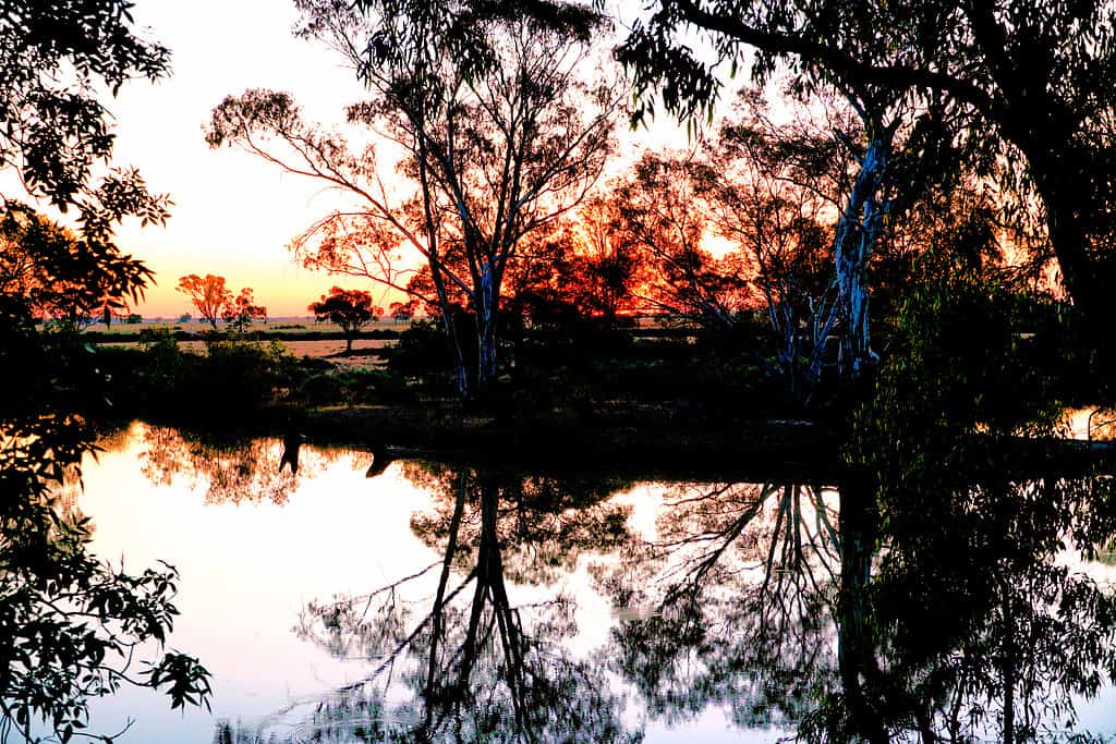 The 5 Longest Rivers in Victoria