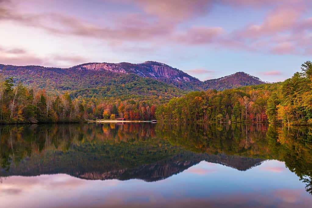 Meet The 10 Largest Landowners In South Carolina