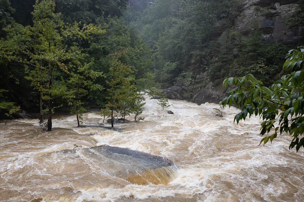 The Top 10 Most Dangerous Places in Georgia