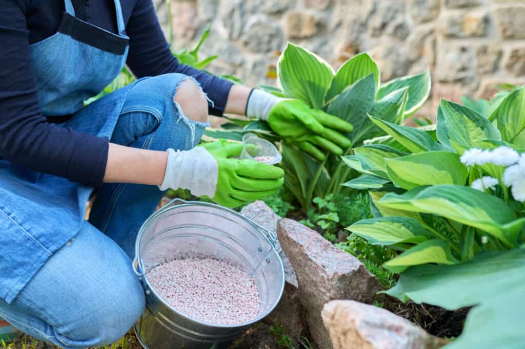 10 Reasons to Avoid Putting Miracle-Gro Plant Food In Your Garden