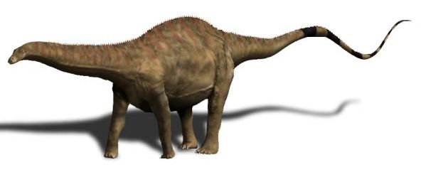 Discover 7 Dinosaurs That Start With R