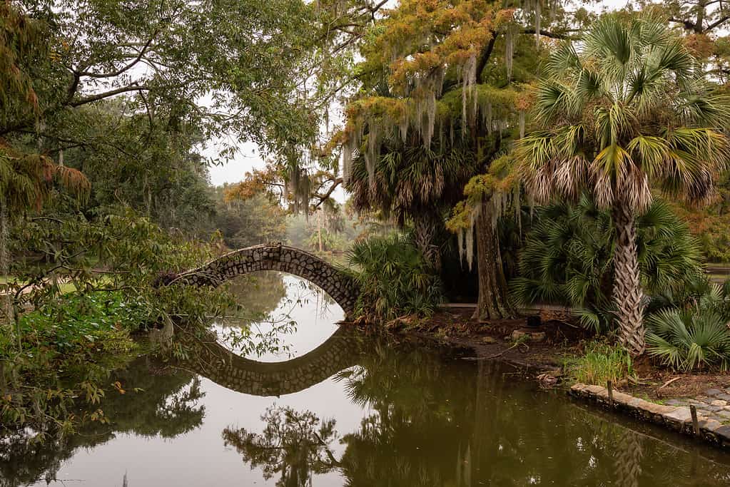 The largest city parks in louisiana