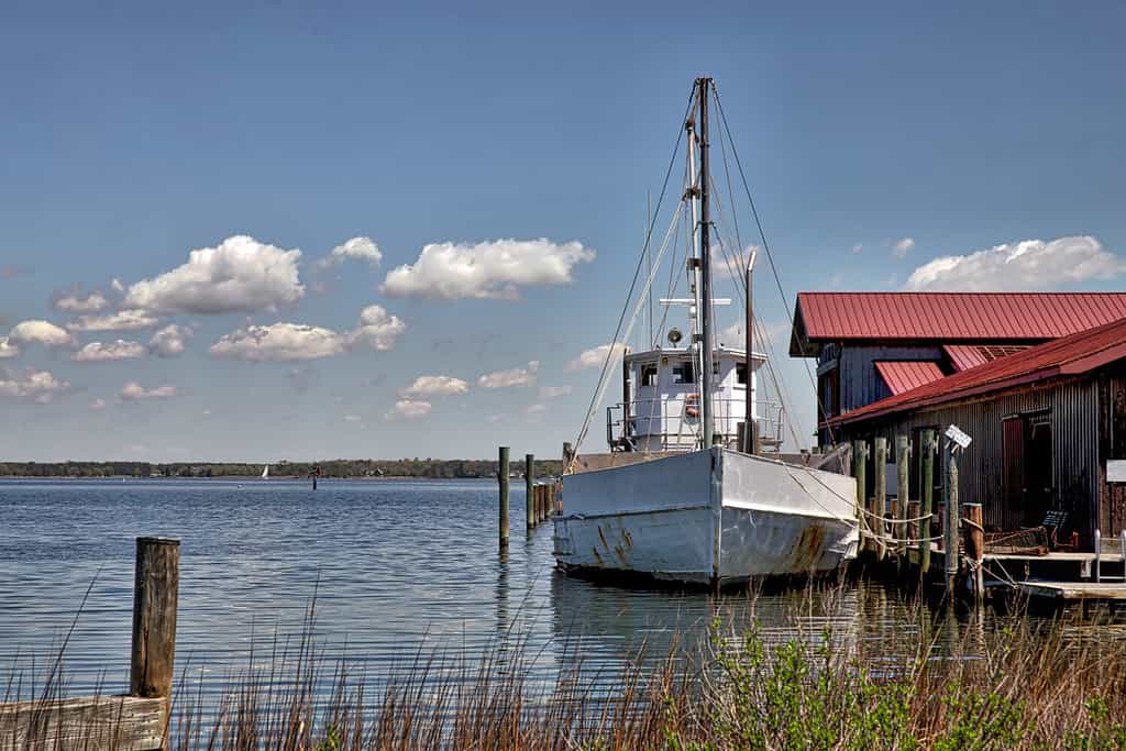 Maryland Crabbing Season: Timing, Bag Limits, and Other Important Rules