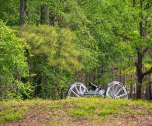 Discover the 6 Most Historic Battlefields in North Carolina