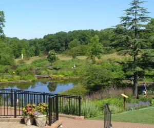 How to Stock a Pond with Fish: 5 Important Steps to Follow