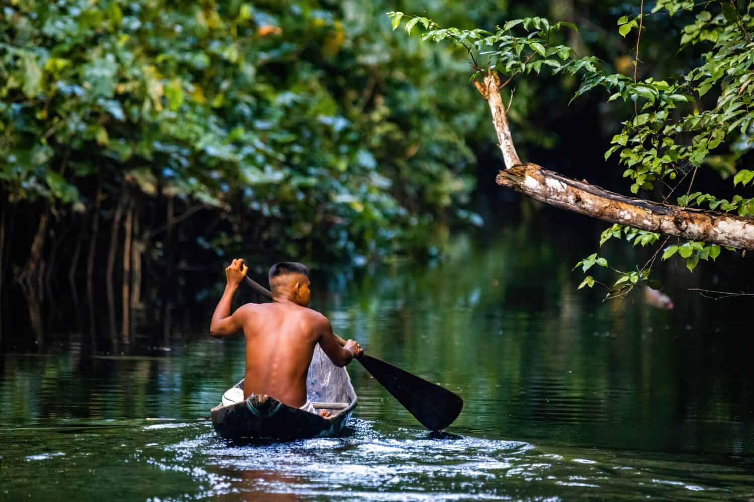 10 Incredible Facts About the Amazon River