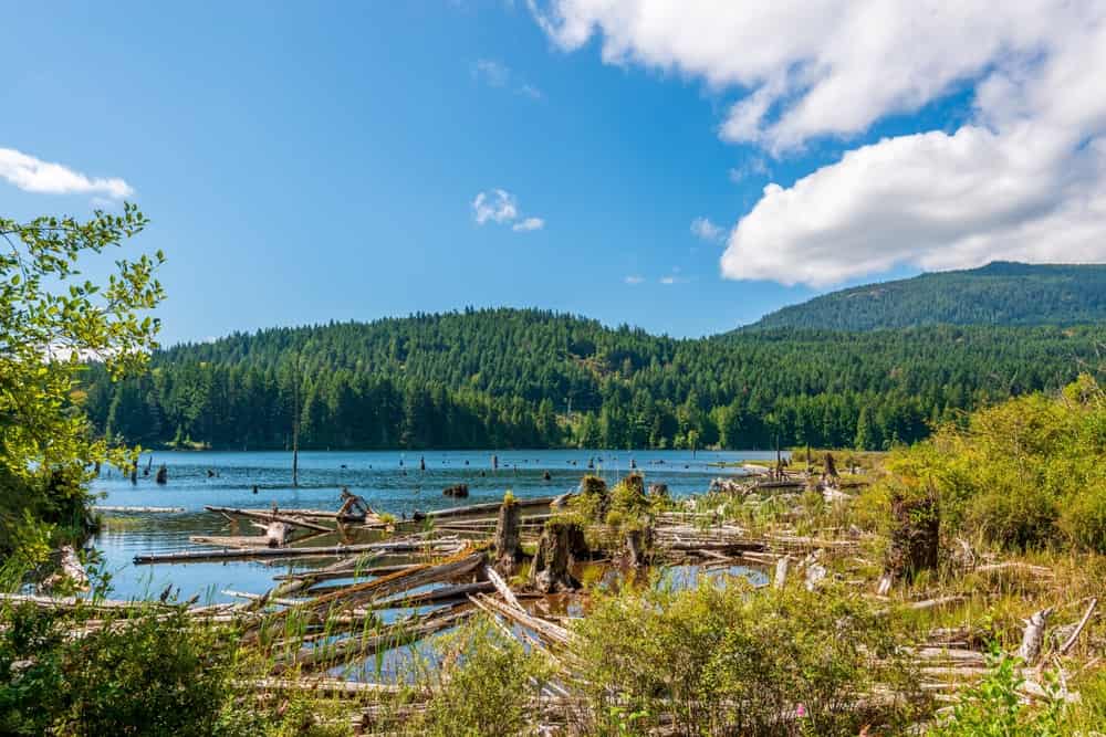 The 10 Most Polluted Lakes in British Columbia