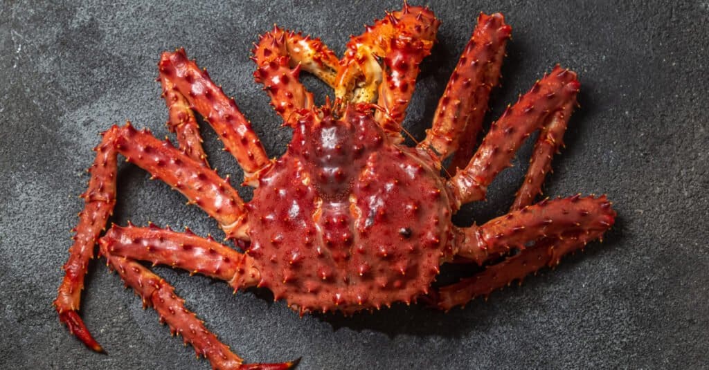 King Crab Market Prices in 2023: What to Expect When Buying