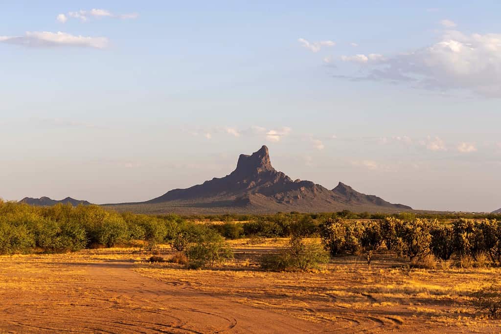 Discover the 9 Largest State Parks in Arizona