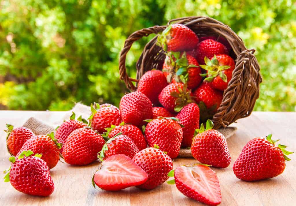 Strawberries in New York: Growing Tips and Peak Timing