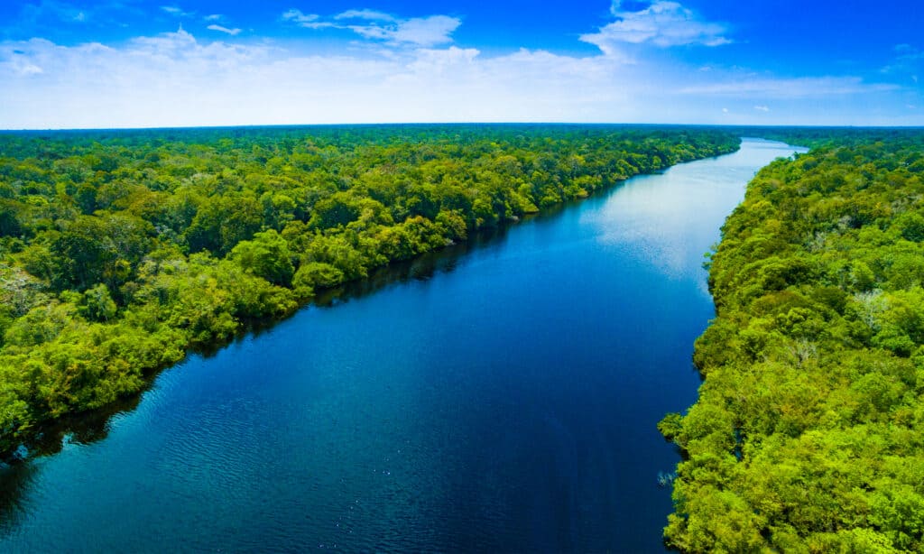 10 Incredible Facts About the Amazon River