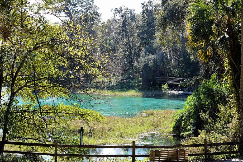 Discover How Polluted Lake Okeechobee Really Is