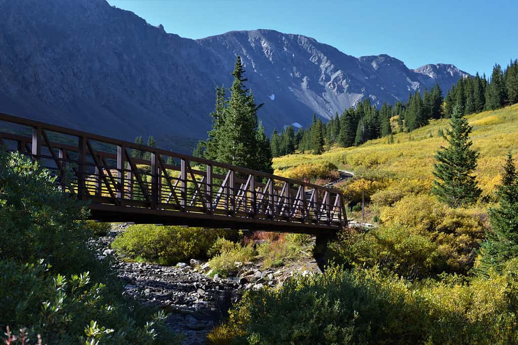 Discover Just How Tall Grays Peak Really Is