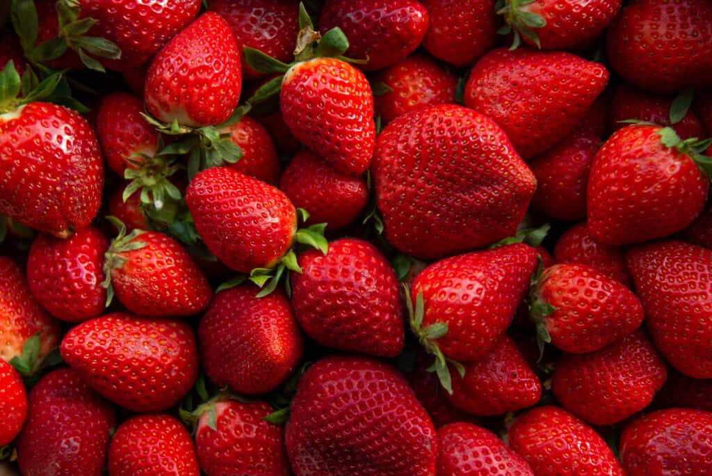 Strawberries in New York: Growing Tips and Peak Timing