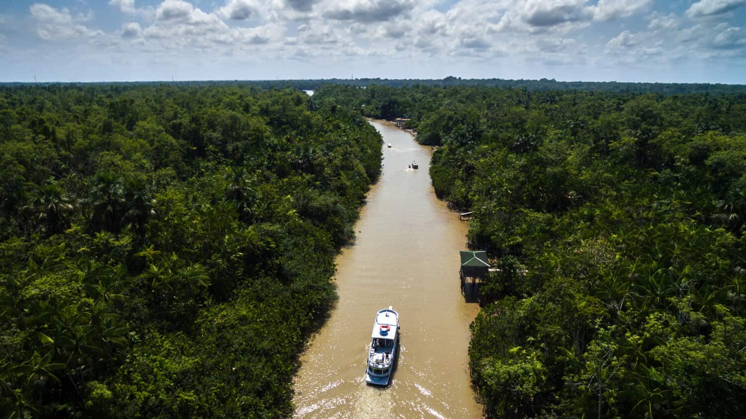 10 Incredible Facts About the Amazon River