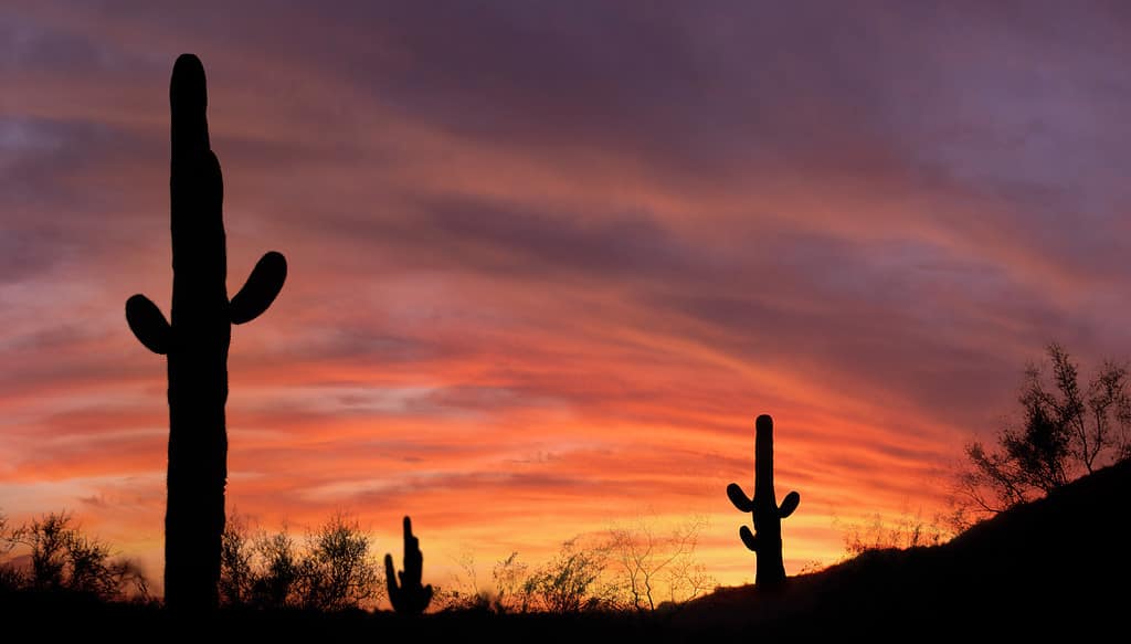 Discover the 9 Largest State Parks in Arizona