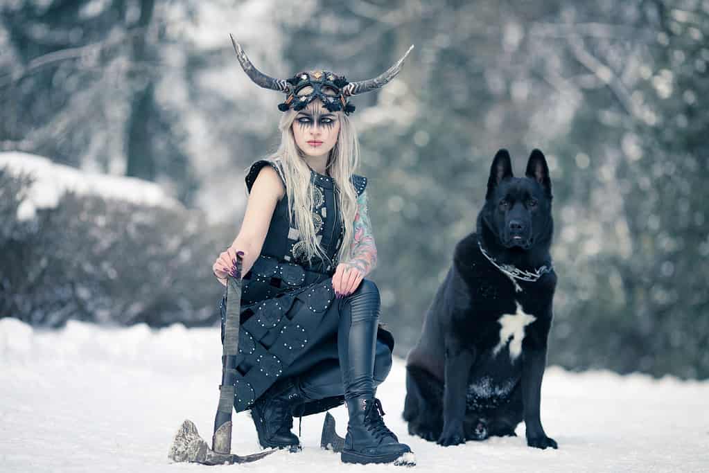 The 167 Best Norse Dog Names