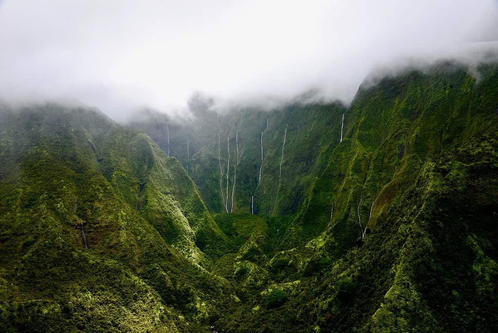 Discover the U.S. Location That Got 12-Feet of Rain in a Single Month