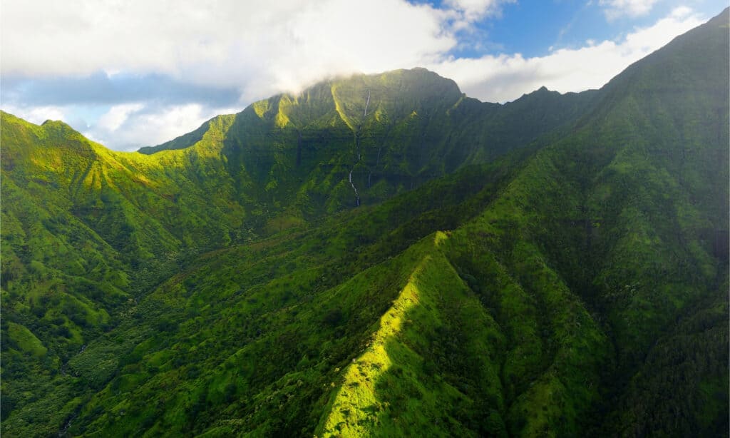 Discover the U.S. Location That Got 12-Feet of Rain in a Single Month