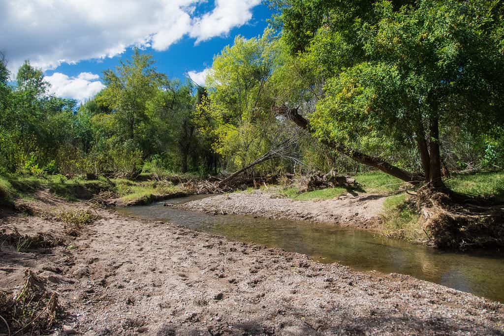 Discover the 9 Largest State Parks in Arizona