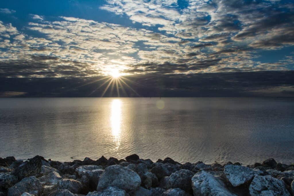 Discover How Polluted Lake Okeechobee Really Is