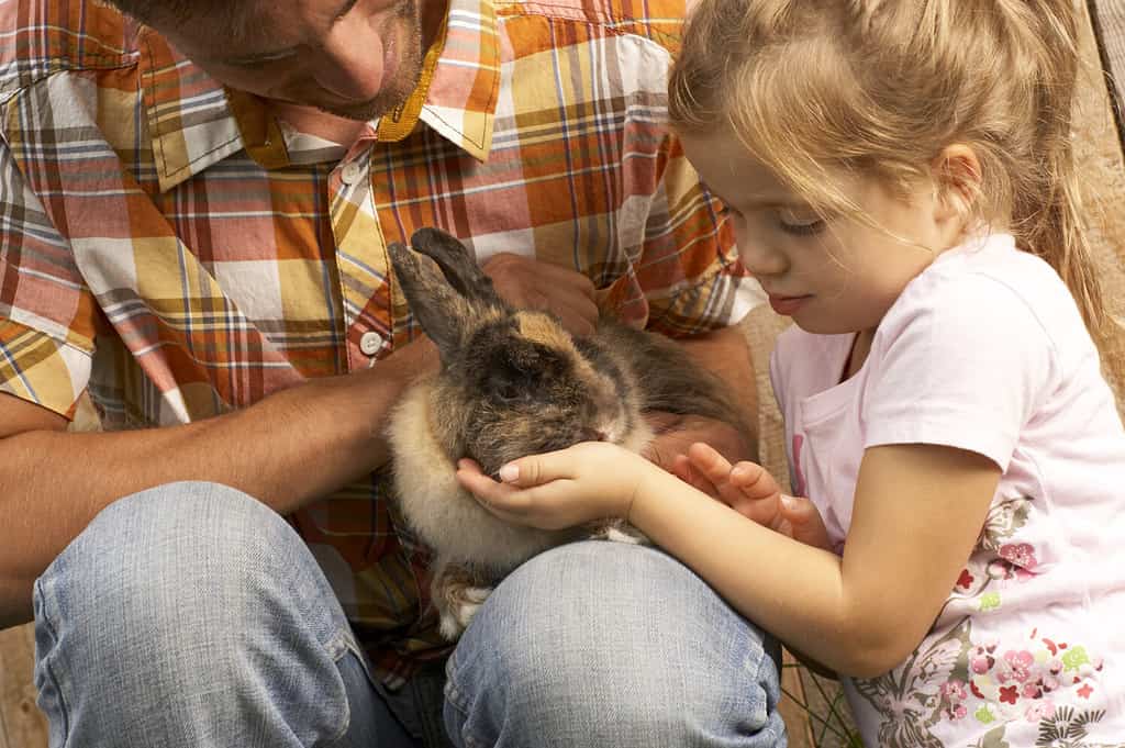 When to Neuter or Spay Your Rabbit: 5 Steps to Follow