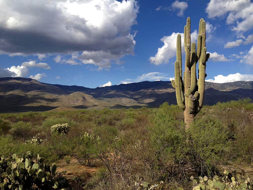 Discover the 9 Largest State Parks in Arizona