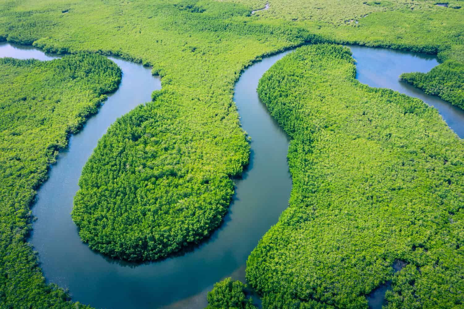 10 Incredible Facts About the Amazon River