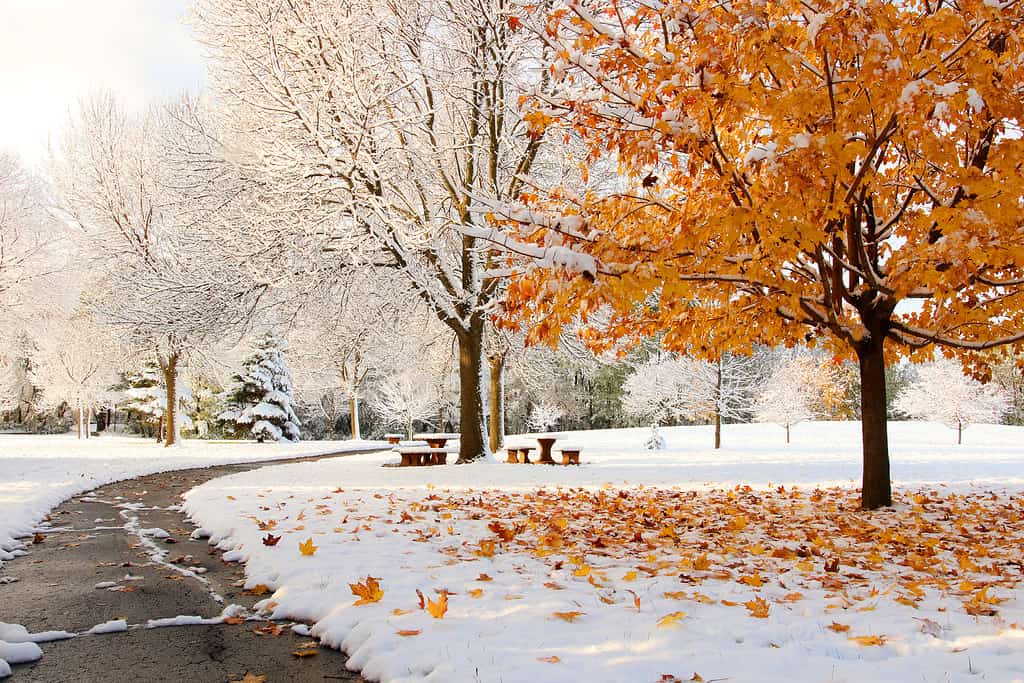 Discover the Biggest October Snowstorm to Ever Hit Massachusetts