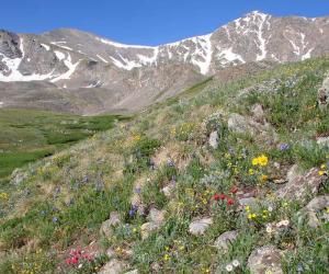 Discover Just How Tall Grays Peak Really Is