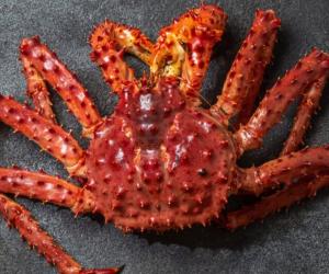 King Crab Market Prices in 2023: What to Expect When Buying